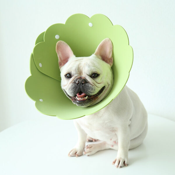 Sunflower Modeling Pet Protection Collar Anti-licking Head Cover - Image 5