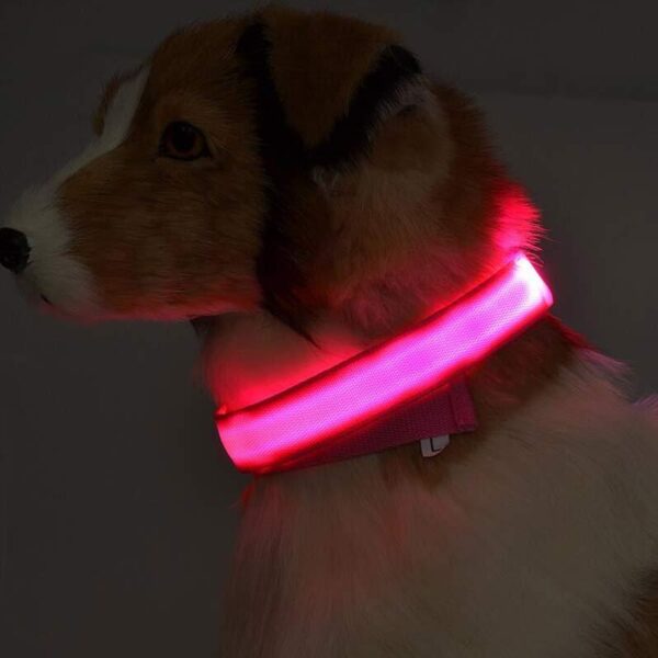 Nylon LED Pet Dog Luminous Collar Night Safety Flashing Glow in Dark Dog Cat Leash Adjustable Pet Supplies - Image 3