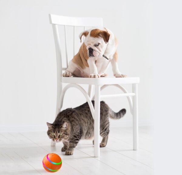 Pet New Cat Wicked Ball Toy Intelligent Ball USB Cat Toys Self Rotating Ball Automatic Rotation Ball - Image 4