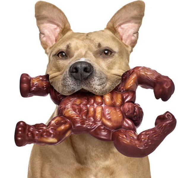 Dog Molar Nibbling Nylon Beef Flavor Toy - Image 2